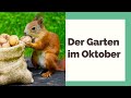 Der Garten im Oktober: Was jetzt zu tun ist!