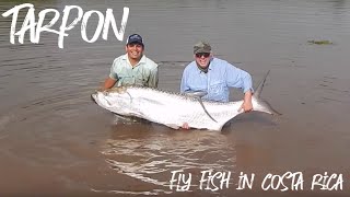 Tarpon In Real Jungle - Fly Fish in Costa Rica