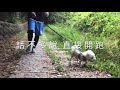 ［父親節快樂］阿法的爬山週記｜新豐鳳崎落日步道2020 08 08