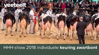 HHH-show 2018 individuele keuring zwartbont