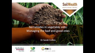 Nematodes in vegetable soils managing the bad and good ones with Dr Sarah Collins