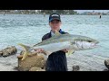 Popping for big yellowtail kingfish swansea bridge