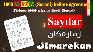 1000 Kürtçe (Sorani) kelime öğrenmek - Kürtçe öğreniyorum 1- Sayılar