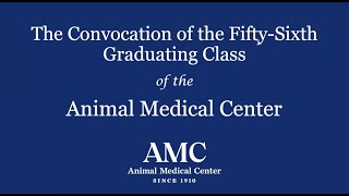 AMC Graduation 2020