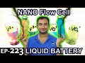 NANO Flow Cell Explained {Science Thursday Ep223}