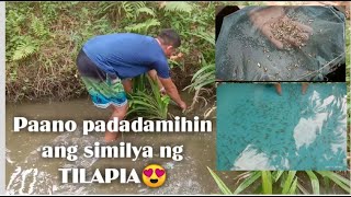 WALA KA NAMANG PERANG PANG BILI NG SIMILYA NG TILAPIA?🙄🙄