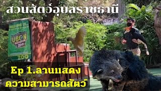 Ubon Ratchathani Zoo Ep.1 Animal Show Ground, Muang District, Ubon Ratchathani Province