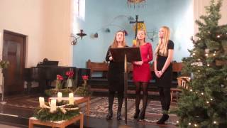 When Mary Sang Her Lullaby - Sally DeFord (Yvonne, Jasmijn \u0026 Nelleke)