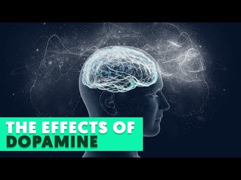 What happens if dopamine levels are too high?
