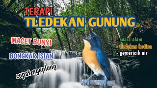 TERAPI TLEDEKAN GUNUNG CEPAT NGEPLONG