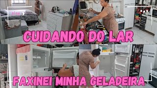 faxinei a geladeira / estava muito suja