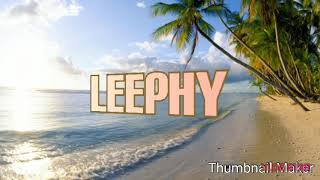 Leephy's outro (Credulous Gal)