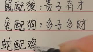 十二生肖最佳夫妻组合，快来看看您是哪一组#中國書法 #中國傳統文化 #傳統文化 #硬筆書法 #老人 #中国书法 #中国传统文化 #書寫 #手写 #练字