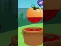 Tomaten-Wissen: Herkunft | Schmecksperimente | SWR Kindernetz | #shorts