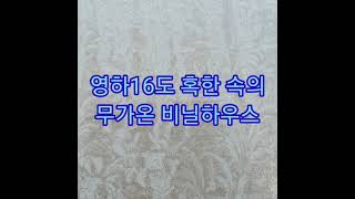 영하16도 혹한속의 무가온 지하온실