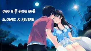 TATE CHHADI MORA KEHI ODIA SONG (SLOWED+ REVERB)