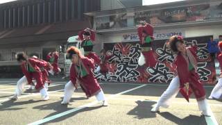 長州とことん総踊り2013（メイン会場）　周防紅華連　紅弥