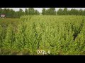 BROUAV 72L biggest payload agricultural spray drones