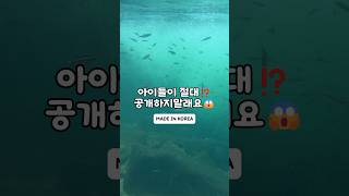 아이들이 절대 공개 거부한 계곡 스노쿨링 #계곡 #스노쿨링 #여행 #차박 #캠핑 #물놀이 #여행정보