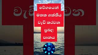 මතකය වැඩි කරන ප්‍රබල ඖෂධය?🤔| study tips sinhala | facts sinhala |  #sinhala #facts  #studytips #gk