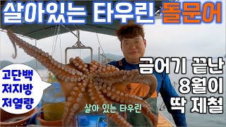 지금이 딱, 타우린 가득한 고단백, 저지방 돌문어 나오는 철! | KBS 방송