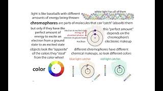 Fluorescence and FRET (Förster/Fluorescent Resonance Energy Transfer)