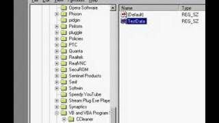 VB6: SaveSetting & GetSetting function tutorial