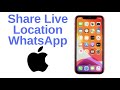 How to Share Your Live Location on WhatsApp on iPhone
