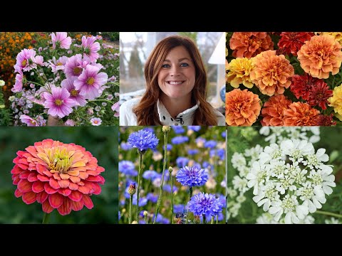 10 of the Easiest Annual Flowers to Start From Seed! // Garden Answer