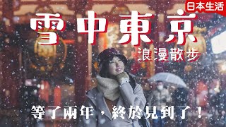 雪中東京❄️浪漫散步🗼人生第一次! 終於遇上了!! 新宿-東京站-淺草寺-新宿夜晚 #日本旅遊 #在日港人 #東京