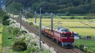 【4k】2020/9/16(Wed)　青森工臨　ED75-777号機 + チキ2B　富根～二ツ井