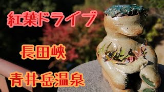 【宮崎観光】ハイエース旅　紅葉を求めて②　都城市