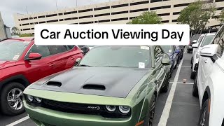 Viewing Cars at Auction in Florida! Hellcats, Amg Mercedes and other cars on my list! Dealer things!