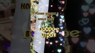 Доброе утро хорошего🍒праздничного 🎀🏝 дня🍮🍫