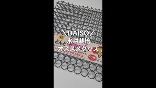 【DAISO】水耕栽培オススメグッズ　猫よけ