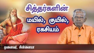 சித்தர்கள் சொல்லும் மயில், குயில், ரகசியம் - முனைவர். சின்னையா | Pranavam TV