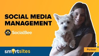 Social Media Management with Socialbee | SmartSites Partners