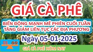 Giá cà phê hôm nay ngày 05/01/2025 | Giá Cà Phê Biến Động Mạnh Mẽ Cuối tuần