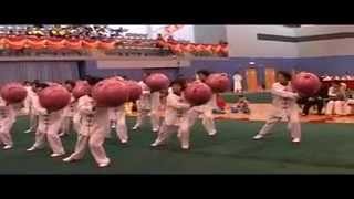 第12屆香港國際武術節Hong Kong Wushu International Championship