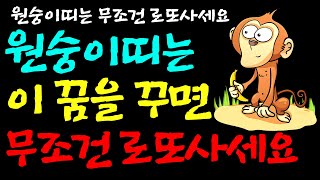 원숭이띠는 이 꿈을 꾸면 무조건 로또사세요ㅣ원숭이띠 재물운ㅣ6가지 재물운세ㅣ원숭이띠의 길몽 흉몽ㅣ44년생ㅣ56년생ㅣ68년생ㅣ80년생ㅣ92년생ㅣ2004년생ㅣ사주팔자ㅣ오디오북