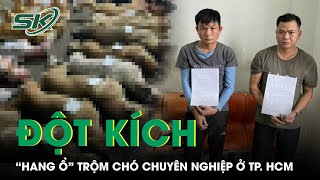 Đột Kích “Hang Ổ” Của Băng Nhóm Trộm Chó Chuyên Nghiệp Ở Thành Phố Hồ Chí Minh | SKĐS