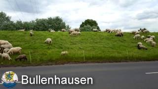 Bullenhausen - Trailer