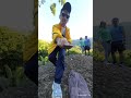 insta360 me mode uncovers hidden gems on mountain hiking trails 🏞️⛰️📸🌟🔍✨🌲🚶‍♂️😮🎥🌄💎🏃‍♂️🗺️