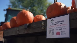 HARVEST MONTH: How September Harvest is affecting local farmers in DeWitt