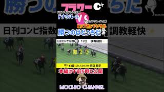 もちおの競馬⭐️予想😁フラワーカップ✨