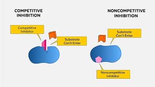 Competitive and noncompetitive antagonism - Dr. Shiva Murthy N #ಕನ್ನಡPharmacology is live