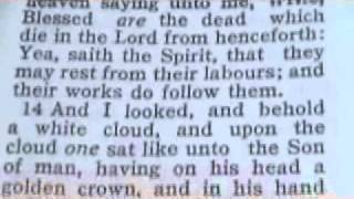 1148 Revelation 14 Chronological Bible (Doom to God's foes)