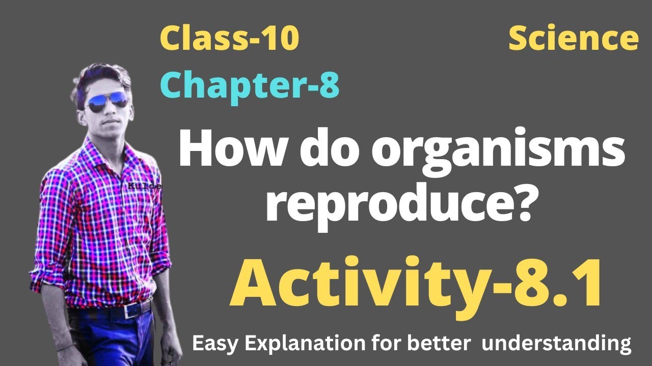 Activity 8.1 How Do Organisms Reproduce? Chapter 8 Class 10 Biology ...