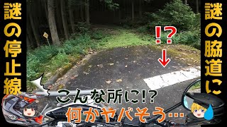 ようやく林道を抜け次の道へと向かうTF団！謎の線が引かれた脇道を発見し先へと進む！(モトブログ セロー250 林道ツーリング 福岡県上毛町編4 その⑤)