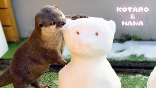 カワウソに雪だるま作って一緒にお風呂に入れてみた結果　Otters React to Snowmen Melting in the Bathtub